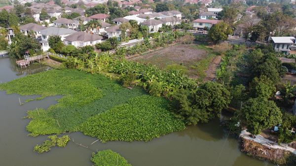 ขายที่ดินติดริมน้ำ เนื้อที่ 2 ไร่ 3 งาน 44 ตร.ว. ในหมู่บ้าน มณีรินทร์ เลค แอนด์ ลากูล รังสิต-ปทุมธานี อำเภอเมืองปทุมธานี โทร 0938141475